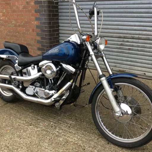 What are the signs of a failing rear wheel bearing on a 2009 Harley-Davidson Softail Custom FXSTC